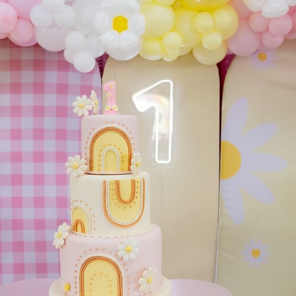 Anna Liz 1 ano-16