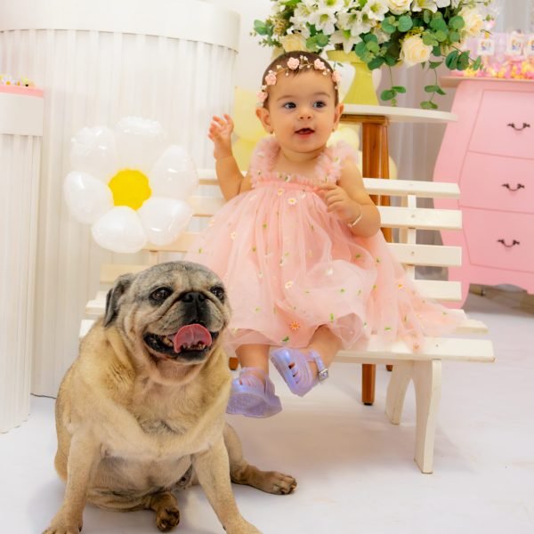 Anna Liz 1 ano-73